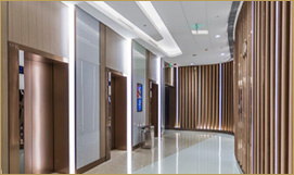 Decorative Typical Floor Lobbies