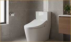 Branded Sanitaryware Closets