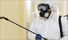 Anti-Termite Treatment For All The Buildings