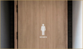 Waterproof Moulded FRP Bathroom Doors